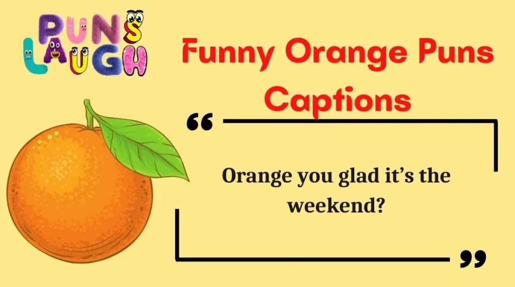Funny Orange Puns Captions