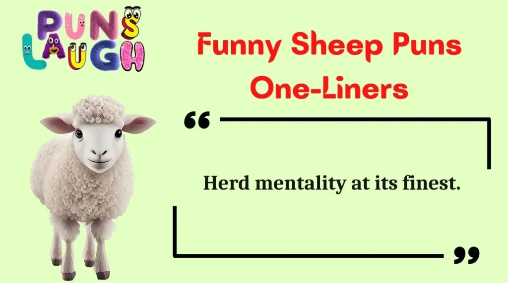 Funny Sheep Puns One-Liners