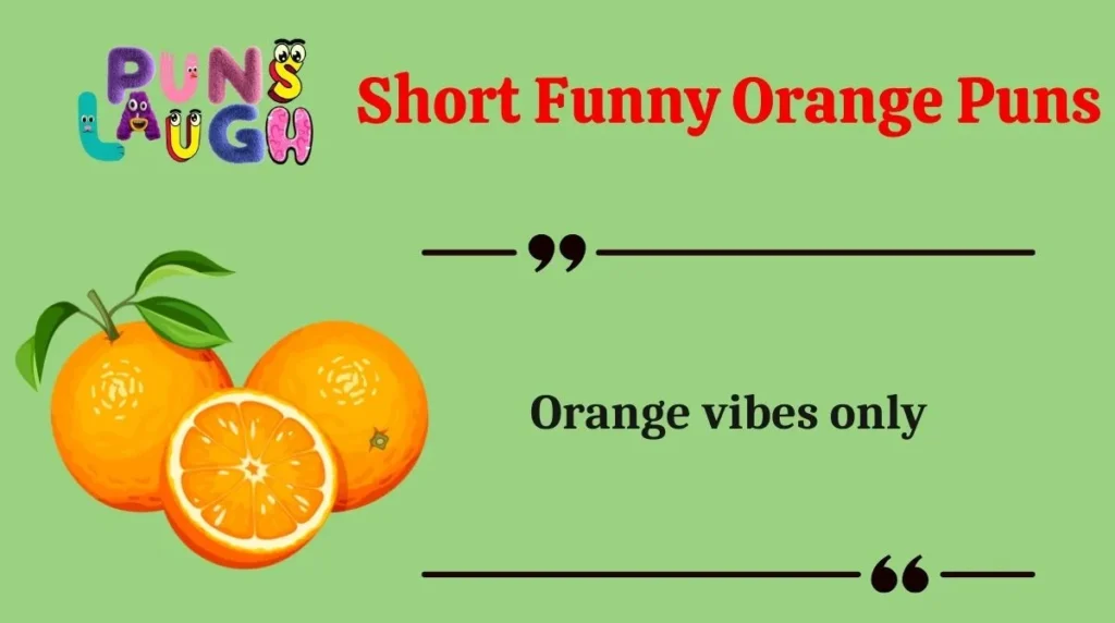 Short Funny Orange Puns