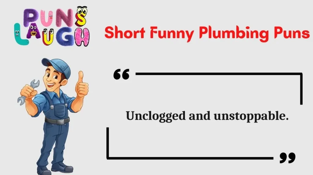Short Funny Plumbing Puns