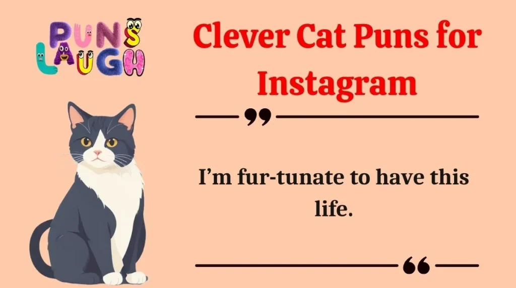 Clever Cat Puns for Instagram