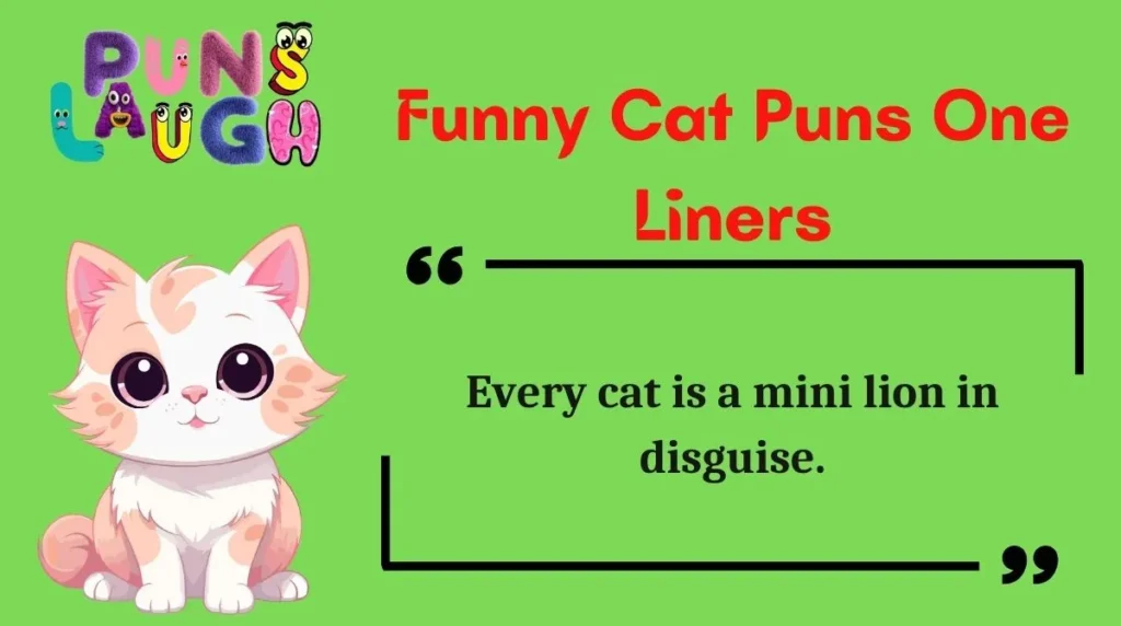 Funny Cat Puns One Liners