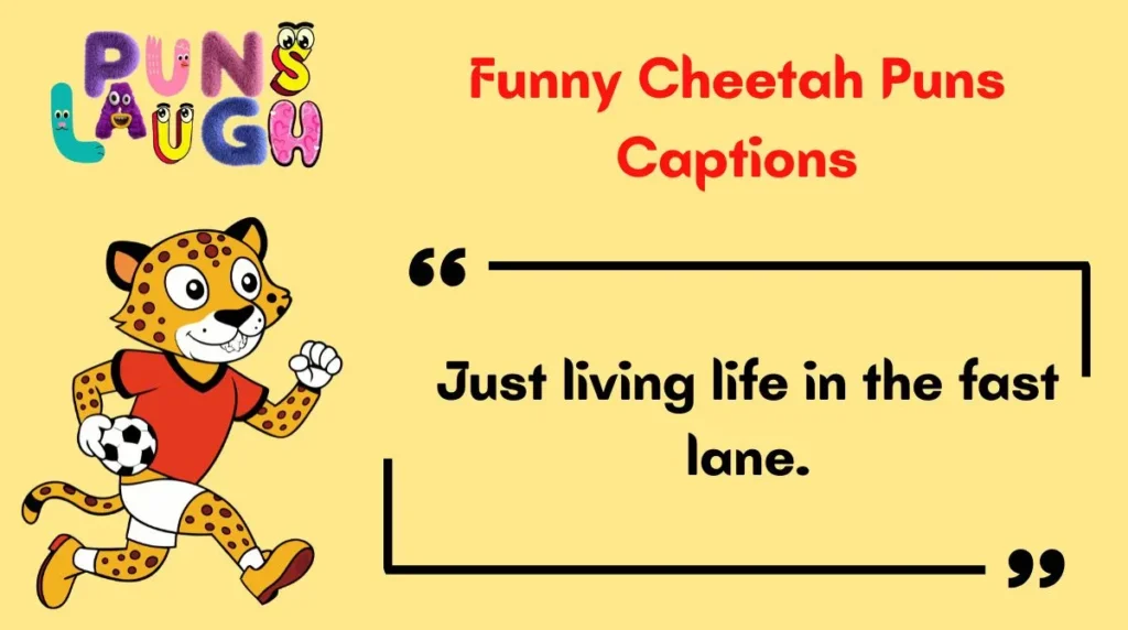 Funny Cheetah Puns Captions