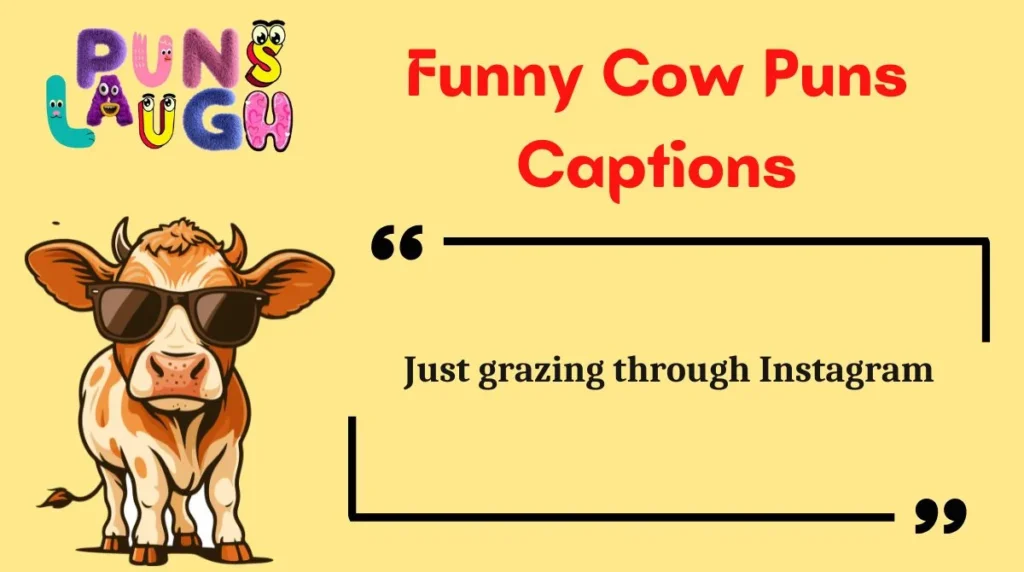 Funny Cow Puns Captions