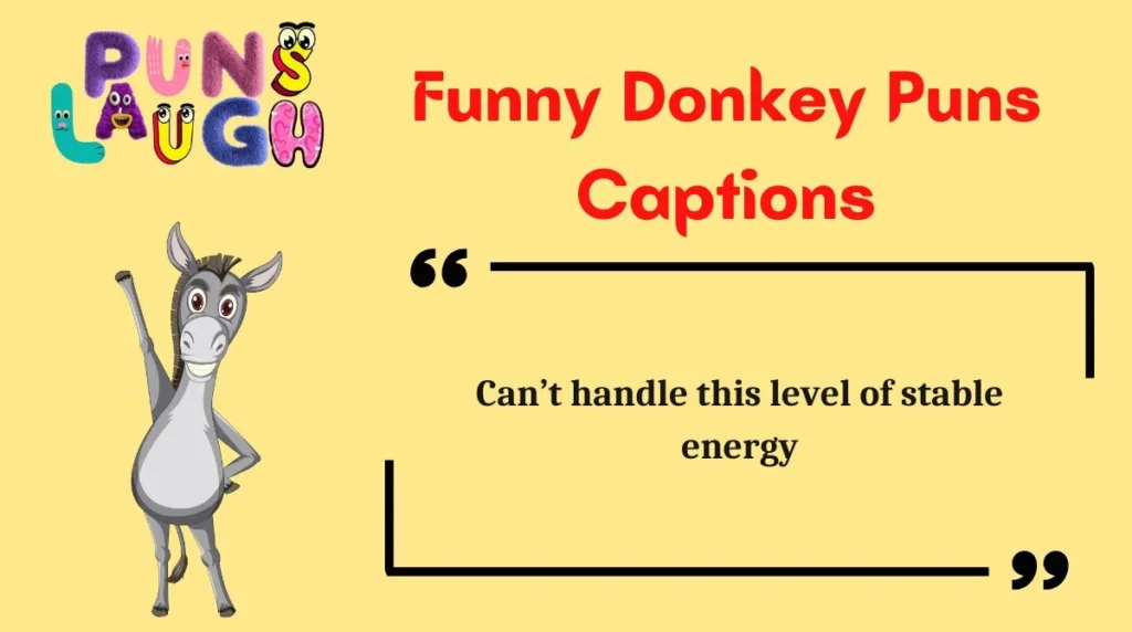 Funny Donkey Puns Captions