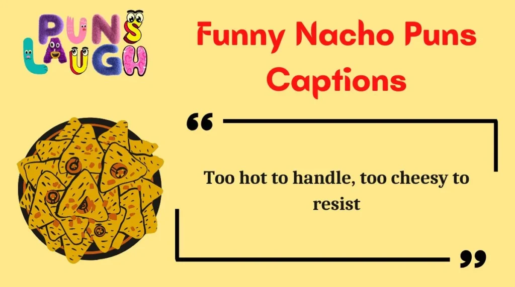 Funny Nacho Puns Captions