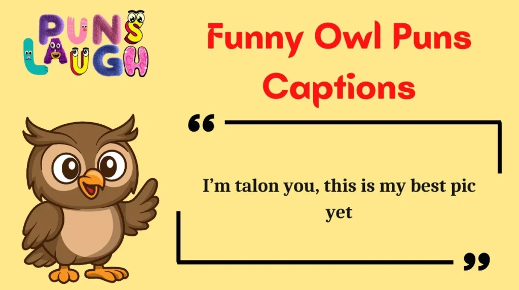 Funny Owl Puns Captions