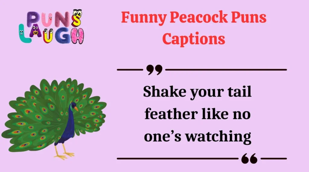 Funny Peacock Puns Captions