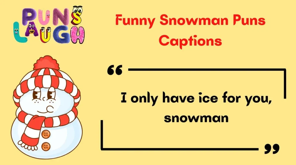 Funny Snowman Puns Captions