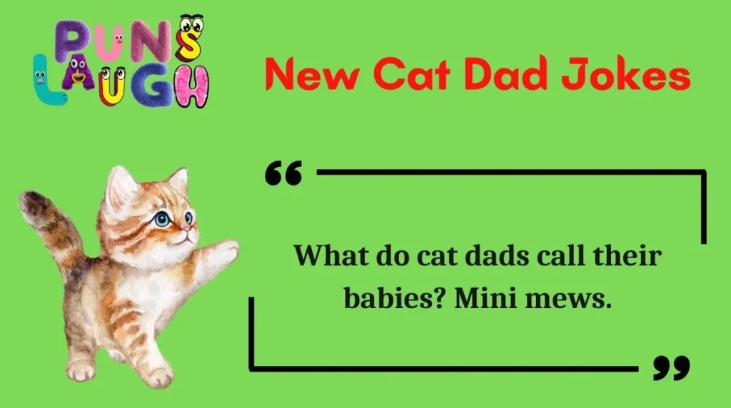 New Cat Dad Jokes