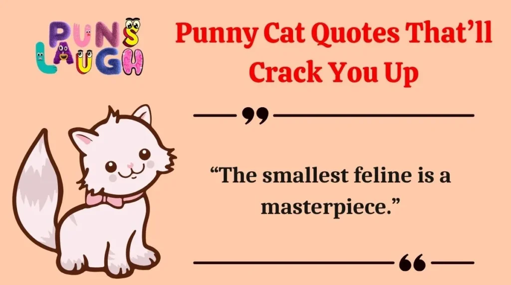 Punny Cat Quotes That’ll Crack You Up