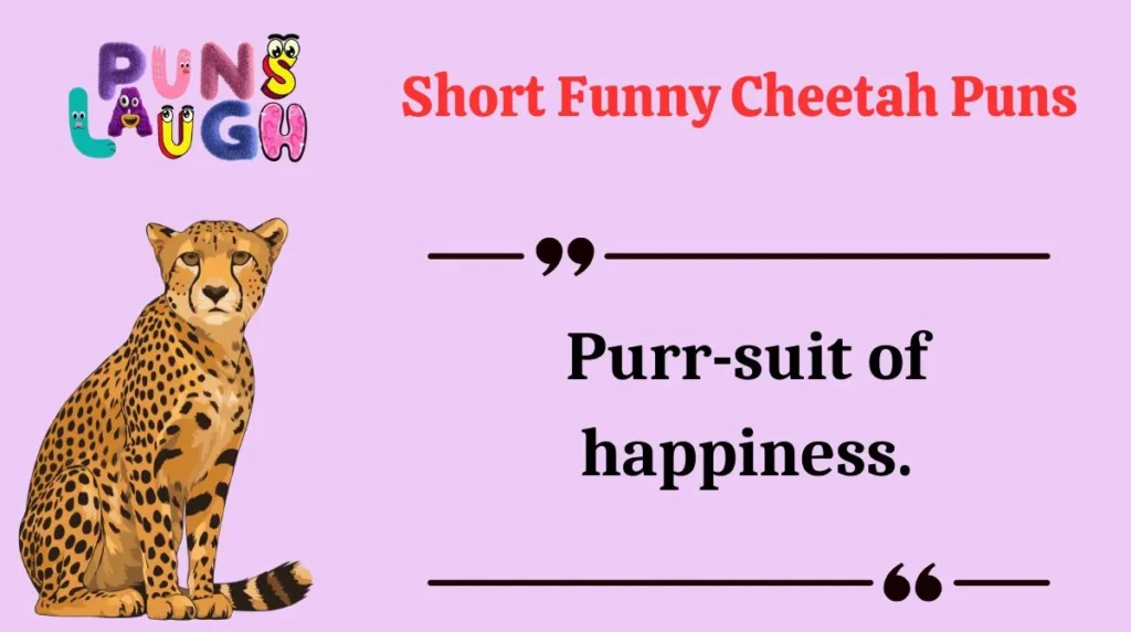 Short Funny Cheetah Puns