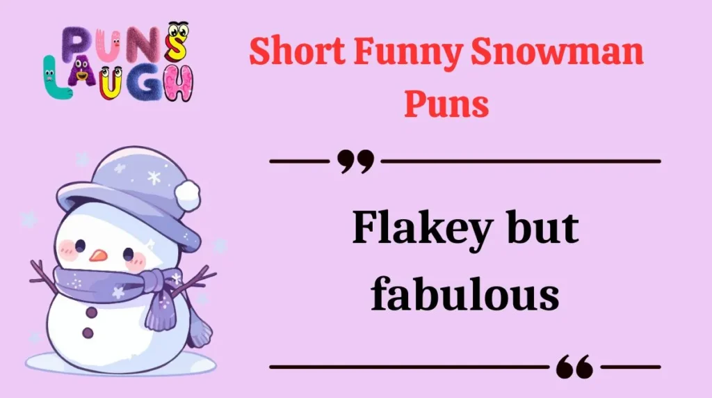 Short Funny Snowman Puns