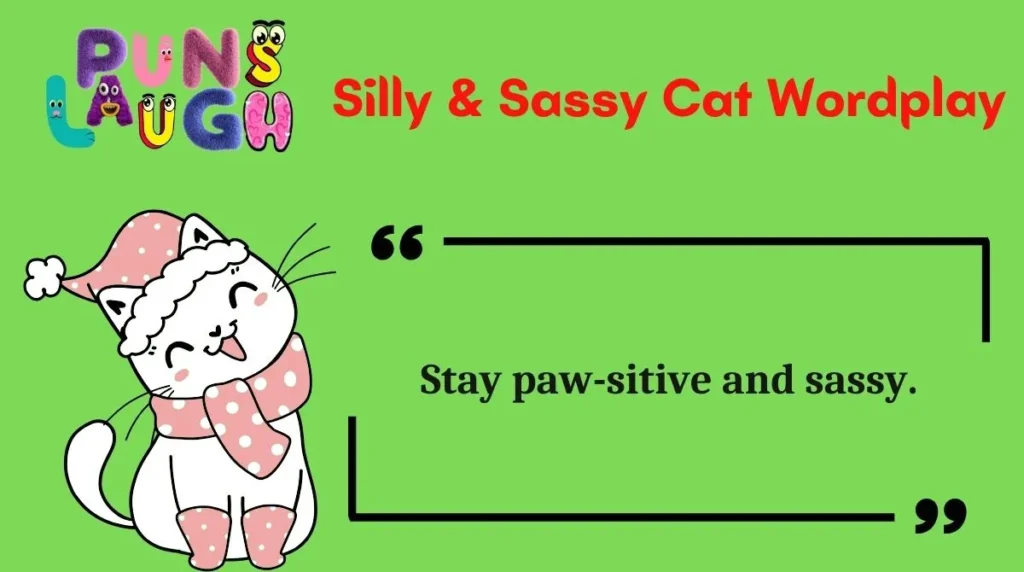 Silly & Sassy Cat Wordplay