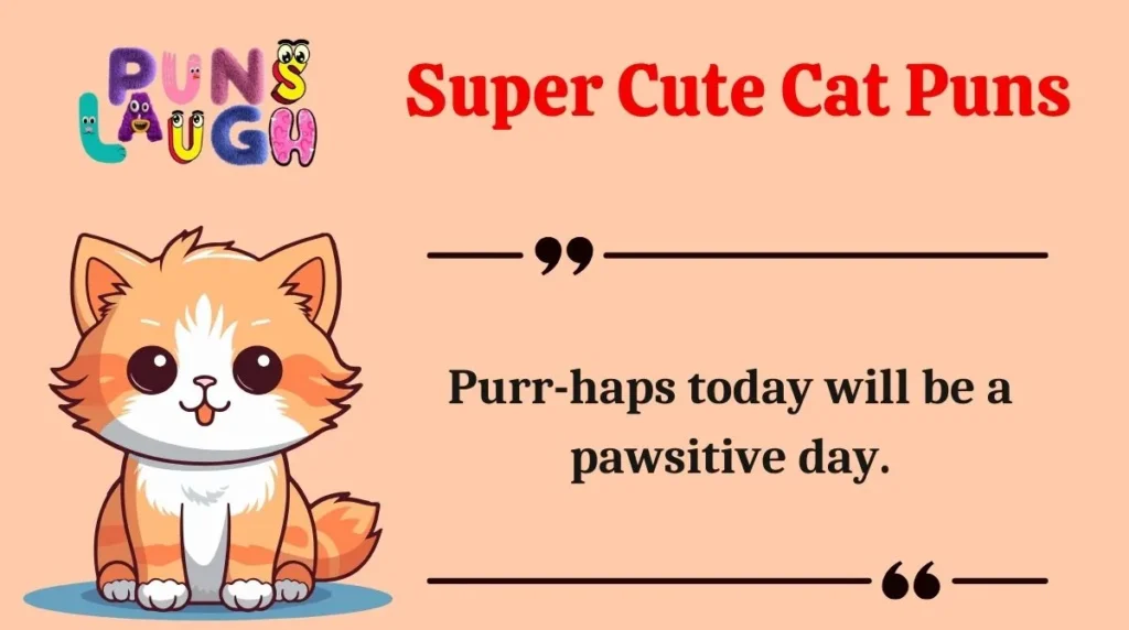 Super Cute Cat Puns