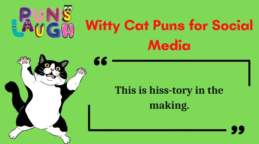 Witty Cat Puns for Social Media