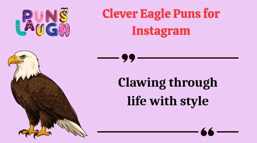 Clever Eagle Puns for Instagram