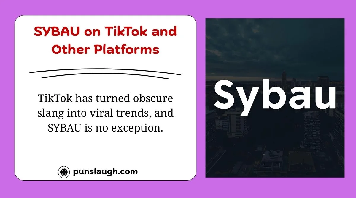SYBAU on TikTok and Other Platforms