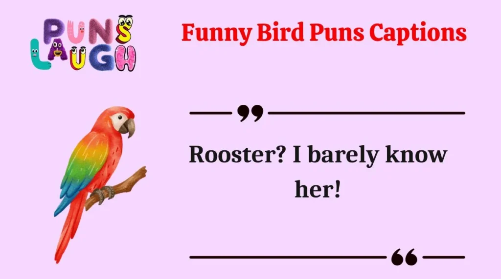 Funny Bird Puns Captions