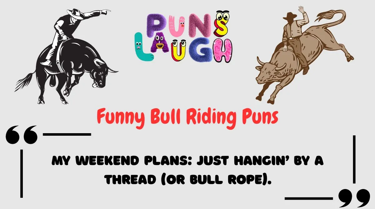Funny Bull Riding Puns