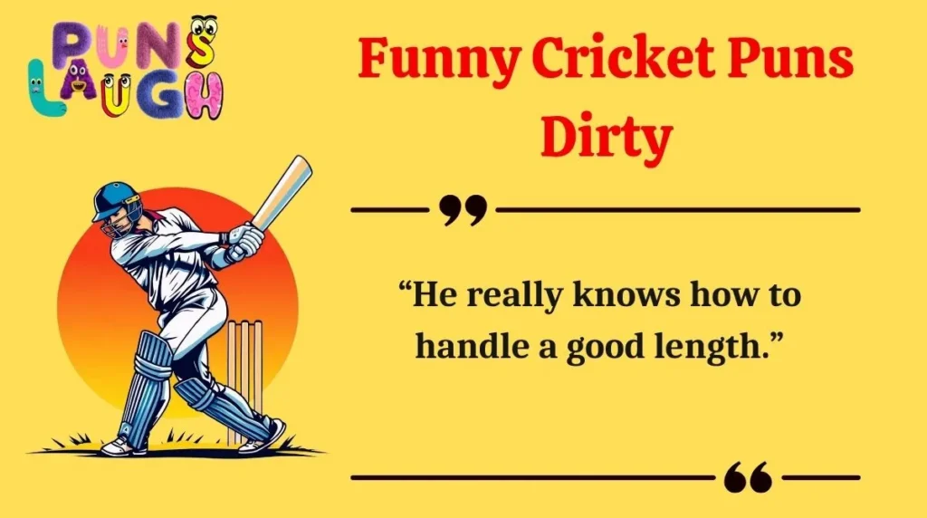 Funny Cricket Puns Dirty