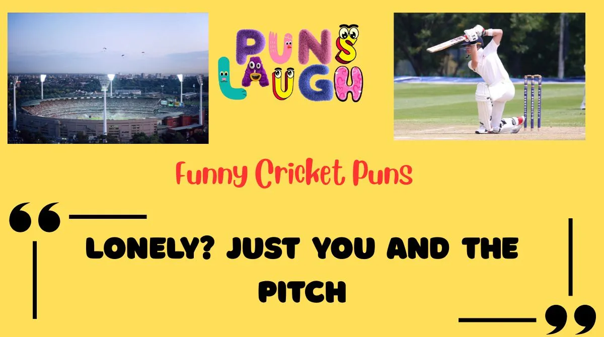 Funny Cricket Puns