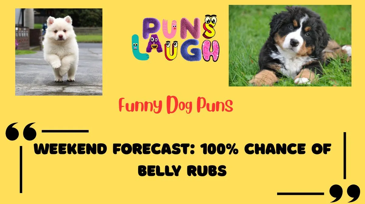 funny-dog-puns