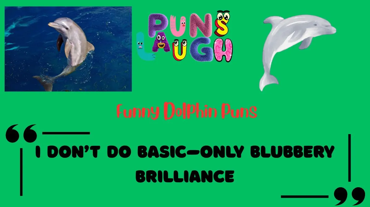 Funny Dolphin Puns