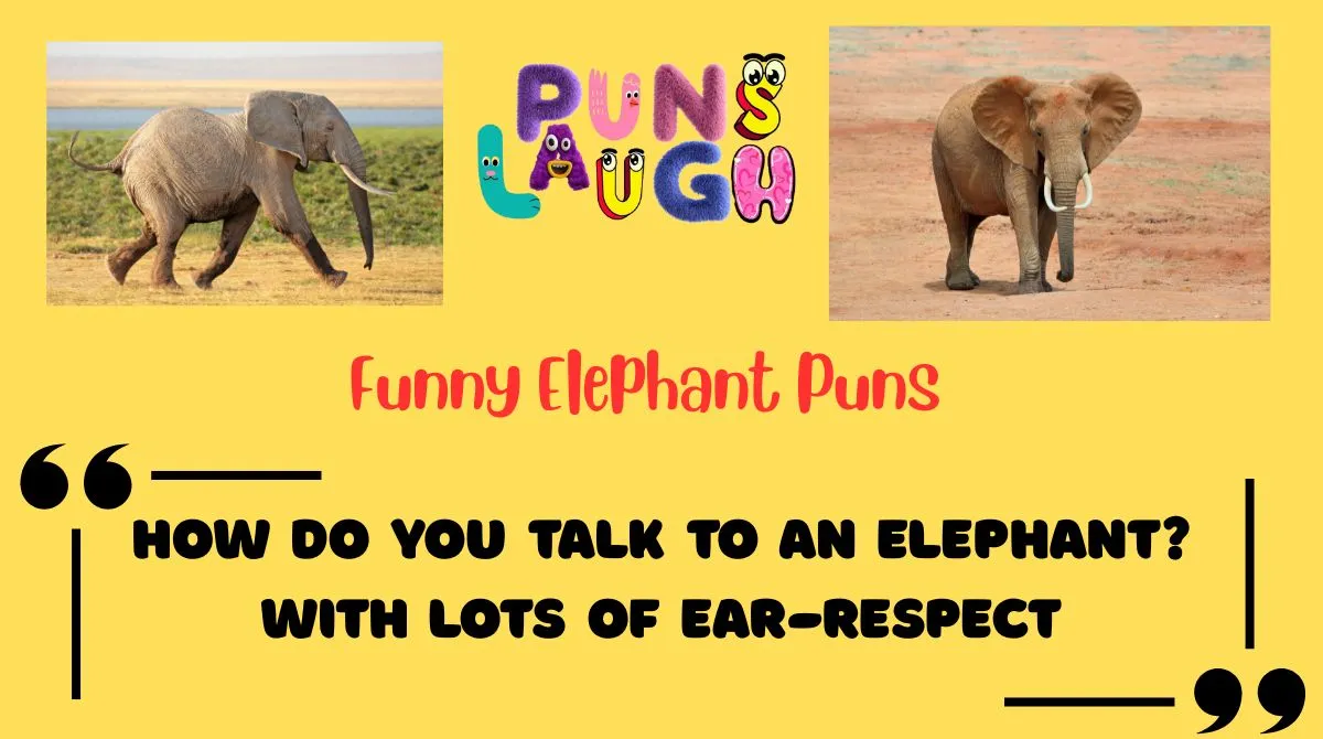 Funny Elephant Puns