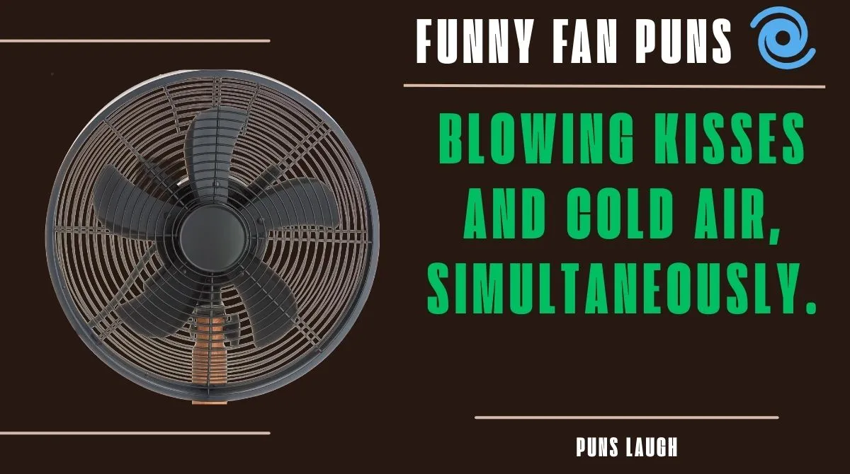 Funny Fan Puns