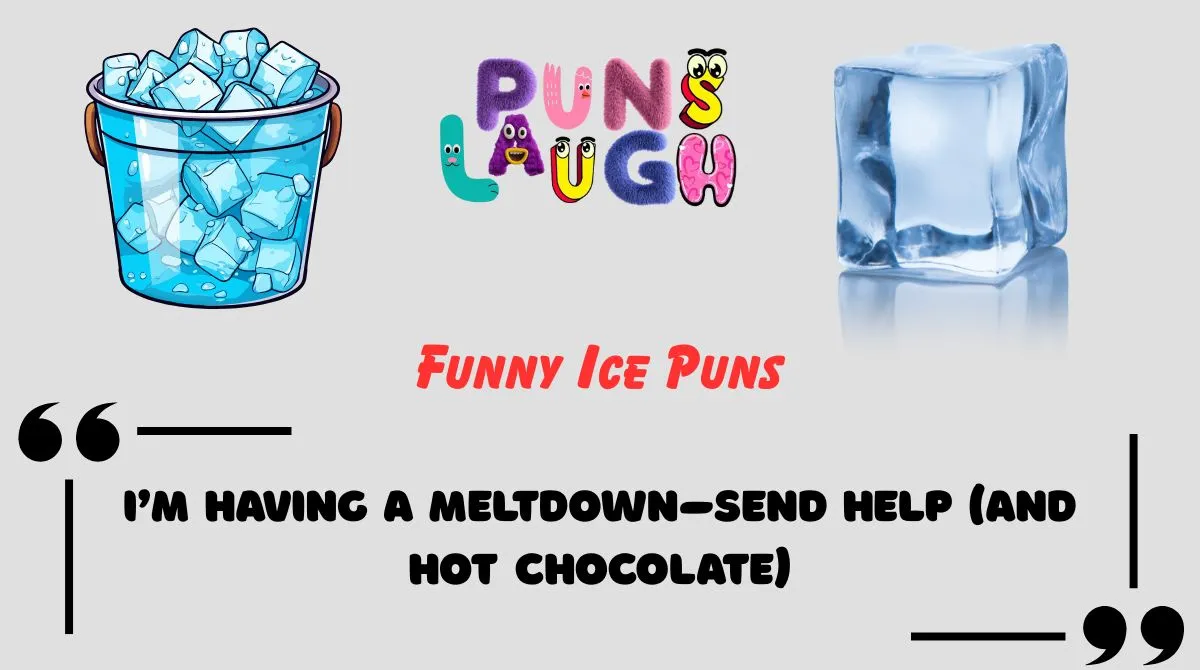 Funny Ice Puns