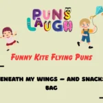 Funny Kite Flying Puns