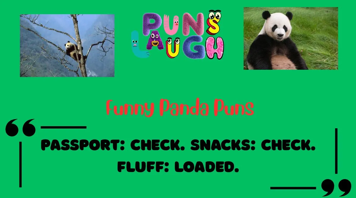 Funny Panda Puns