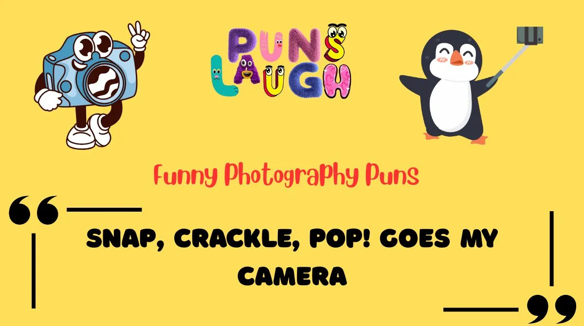 Funny Photography Puns