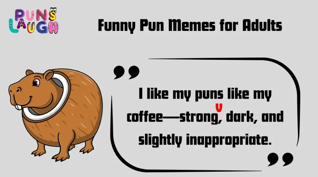Funny Pun Memes for Adults
