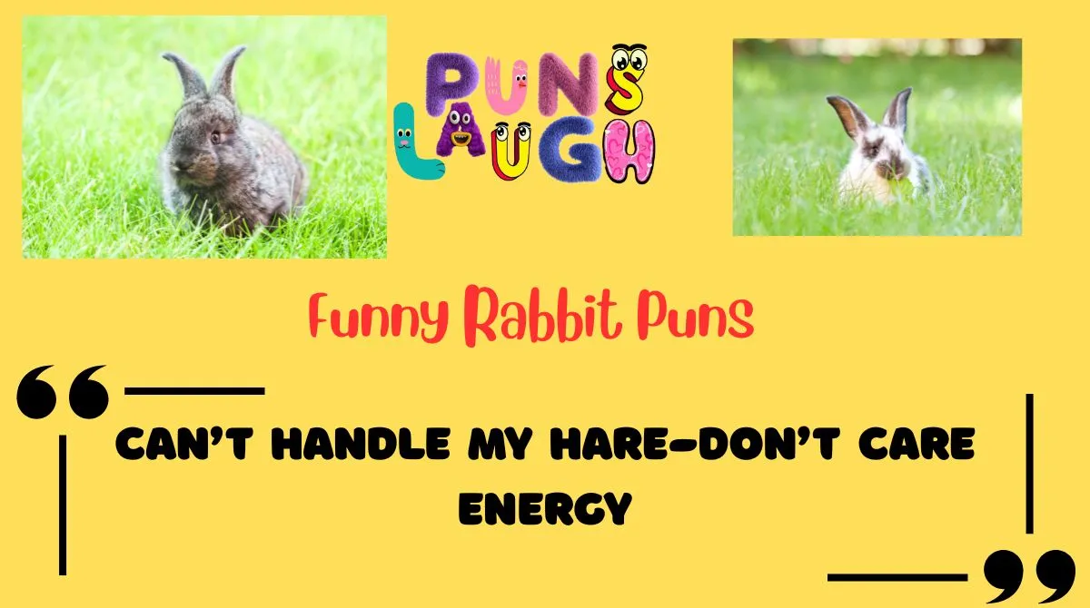Funny Rabbit Puns