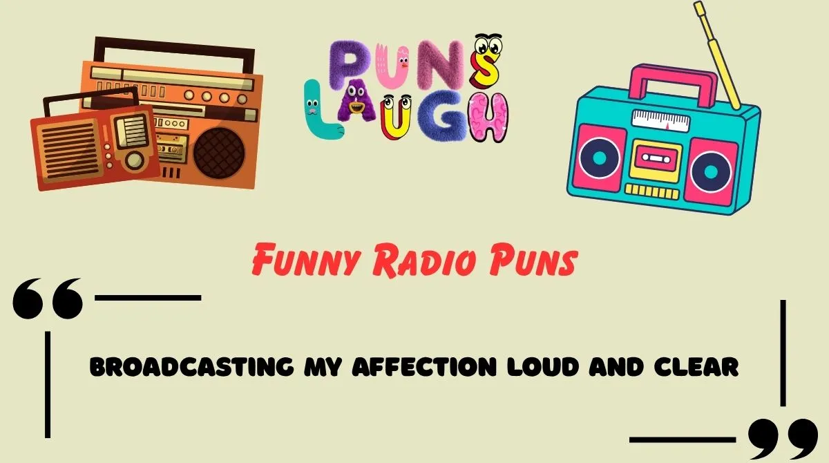 Funny Radio Puns