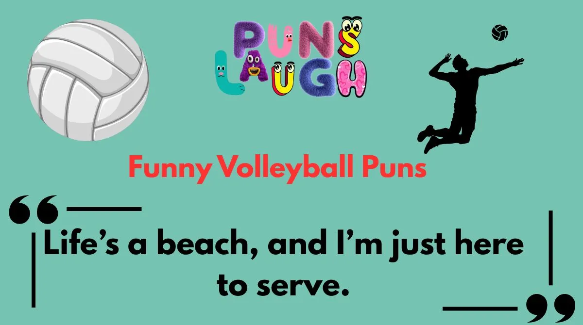 Funny Volleyball Puns