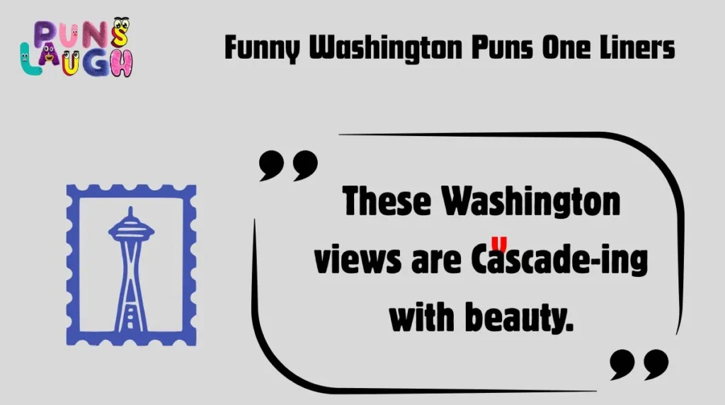 Funny Washington Puns One Liners
