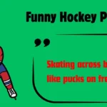 Funny Hockey Puns