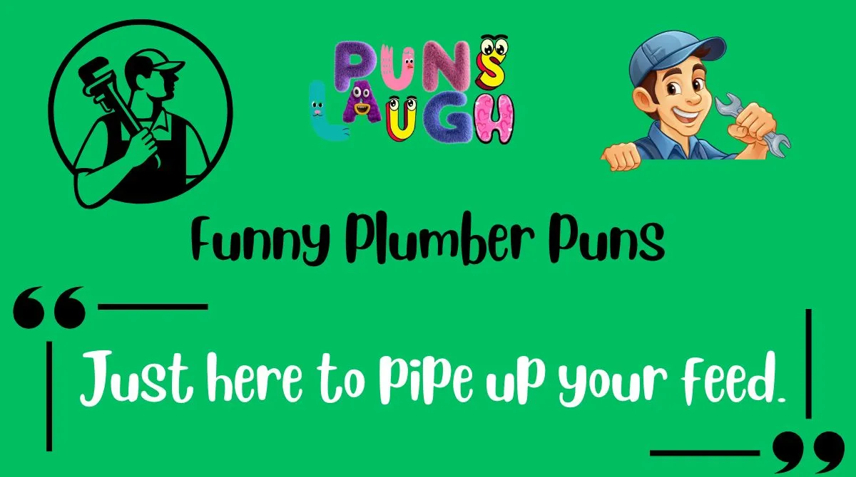 Funny Plumber Puns