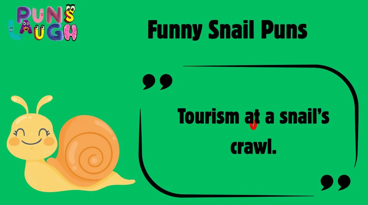Funny Snail Puns