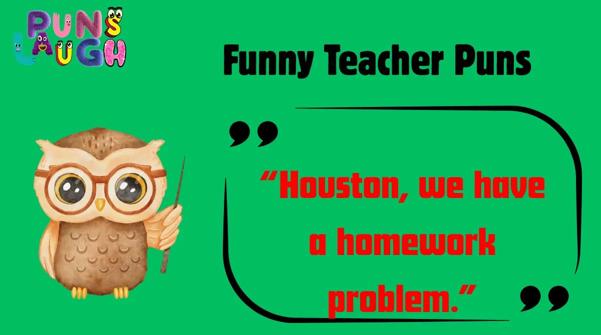 Funny Teacher Puns