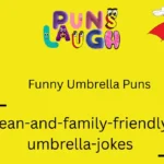 Funny Umbrella Puns