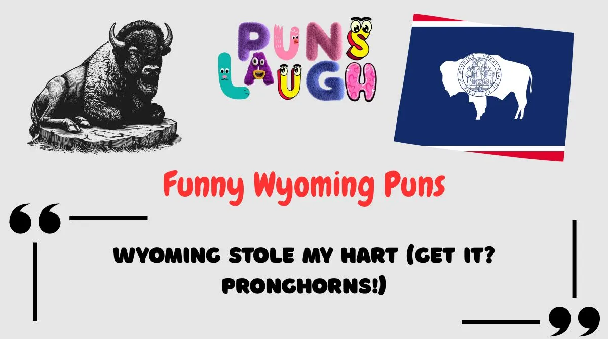 Funny Wyoming Puns