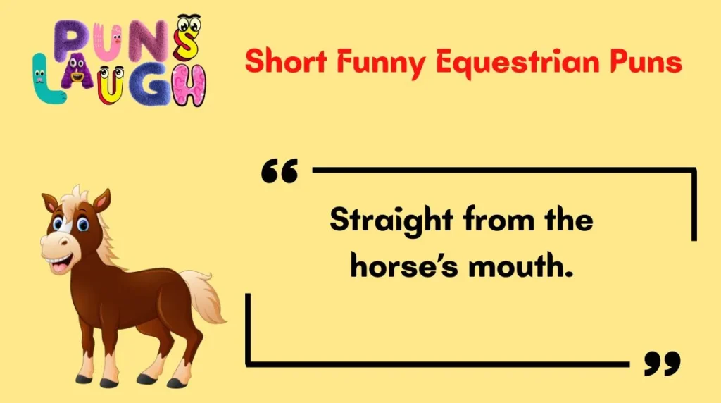 Short Funny Equestrian Puns