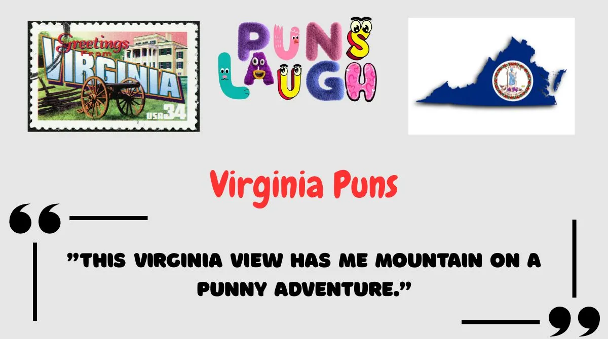 Virginia Puns