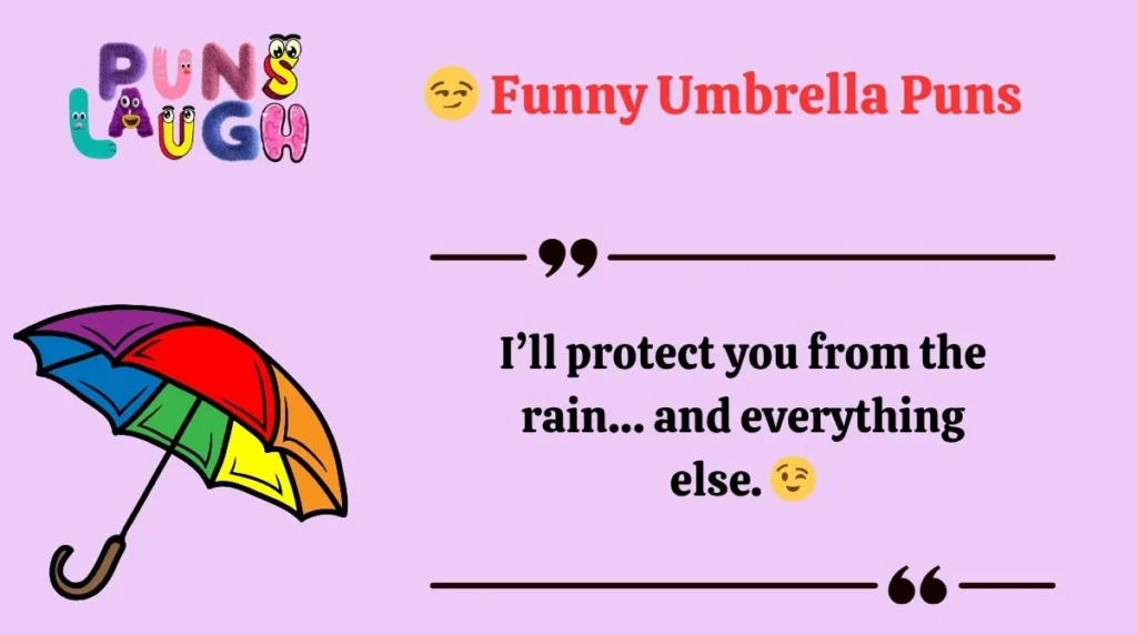 Funny Umbrella Puns