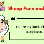 Sheep Puns and Jokes