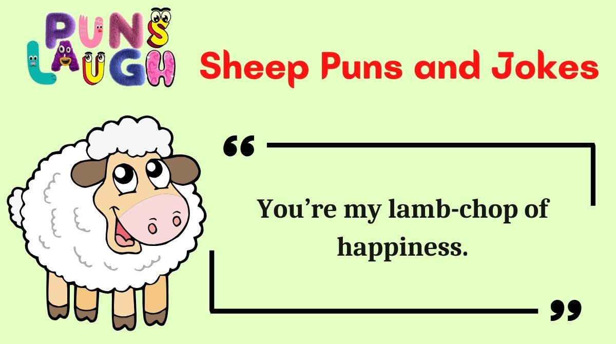 Sheep Puns and Jokes